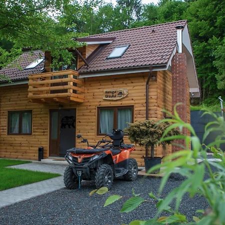 Bear'S Lair Chalet Porumbacu de Sus Exterior photo