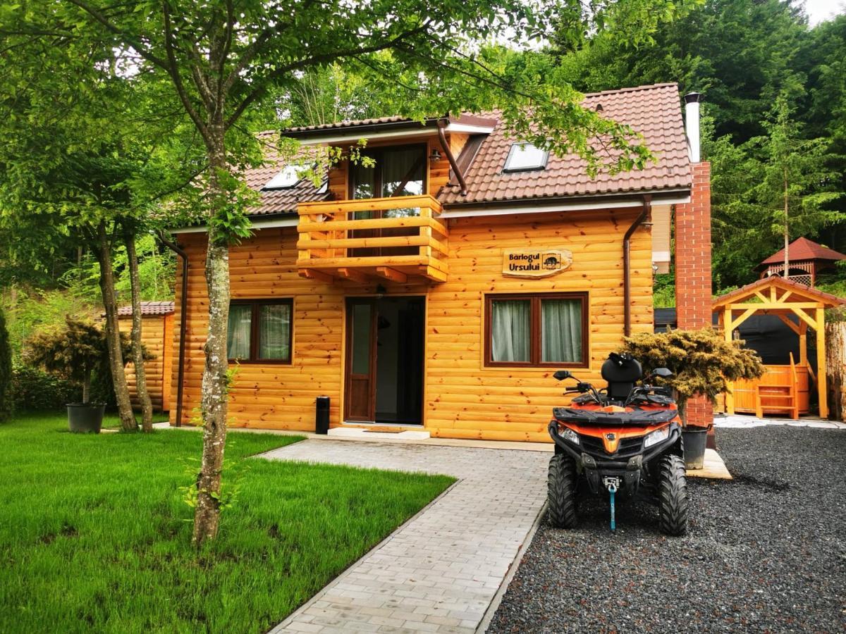Bear'S Lair Chalet Porumbacu de Sus Exterior photo