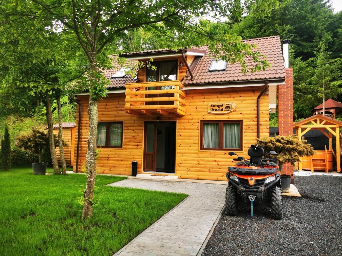 Bear'S Lair Chalet Porumbacu de Sus Exterior photo