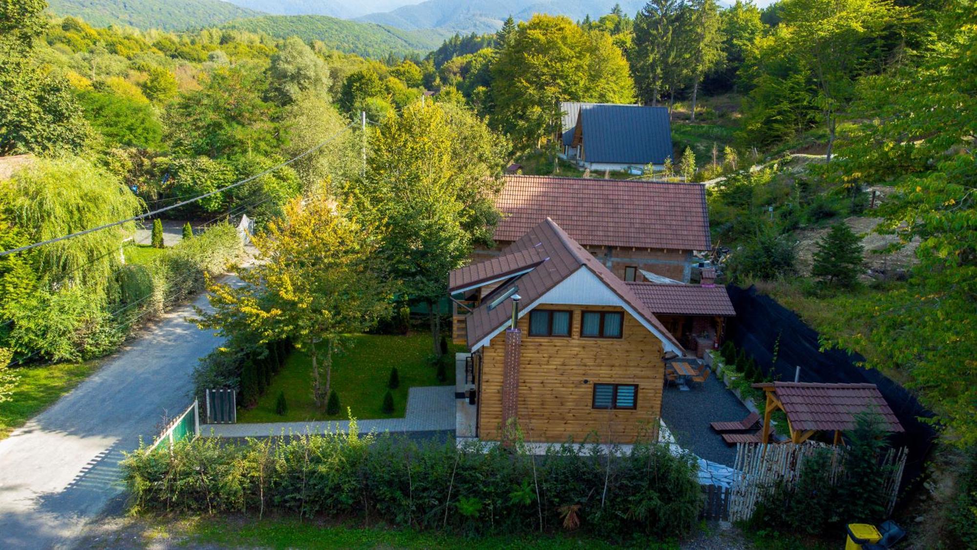 Bear'S Lair Chalet Porumbacu de Sus Exterior photo